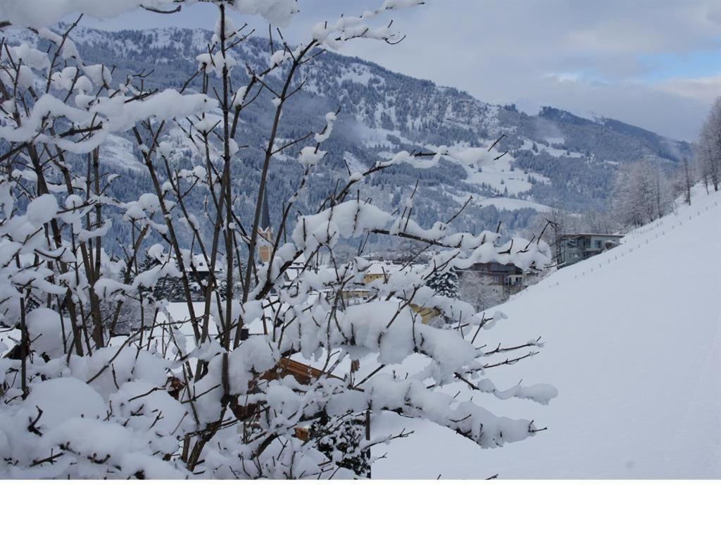 Feldinggut Villa Bad Hofgastein Luaran gambar